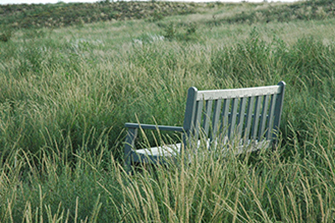 Bench on trail